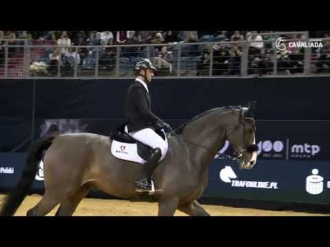 QUICKLENSKY Potęga skoku  Cavaliada Kraków 205