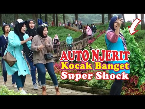 auto-scream-di-hutan-pinus-limpakuwus-with-bushman-prank