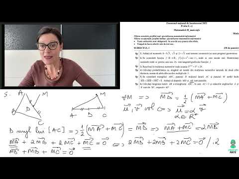Model 2022, Bacalaureat Mate-Info, matematică