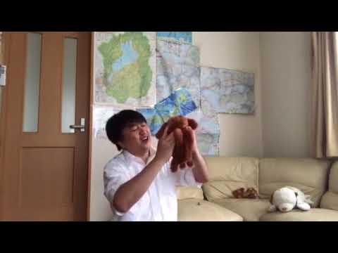 会計学科 愛犬やまとAIロボット！電気自動車がAIロボット化！ 破壊的イノベーションが！ 一夜にして勝者が入れ替わる  木村勝則滋賀県高島市！