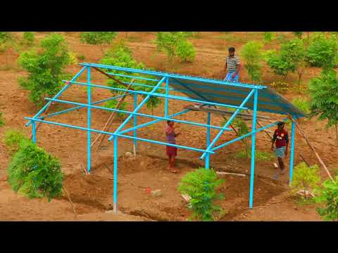 Real Quick Building of Shed with SheetMetal for Roof | Making Shed for Cow, Cattle & Goats in 3 days