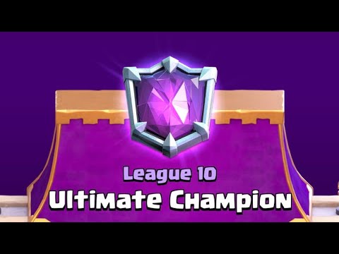 2.8Hog / Royal Champion +