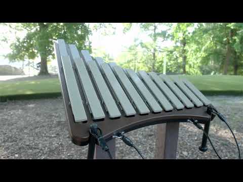 Weenotes Piper Outdoor Instrument video 1