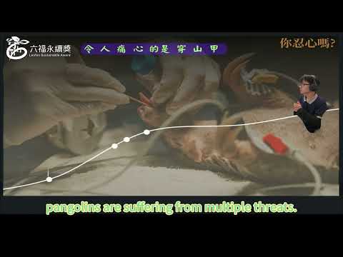 國中中文組冠軍 -2025六福永續獎: 最佳人氣影片