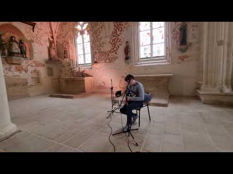 Xavier Boderiou - Uilleann Pipes - The Plains Of Boyle (Hornpipe)