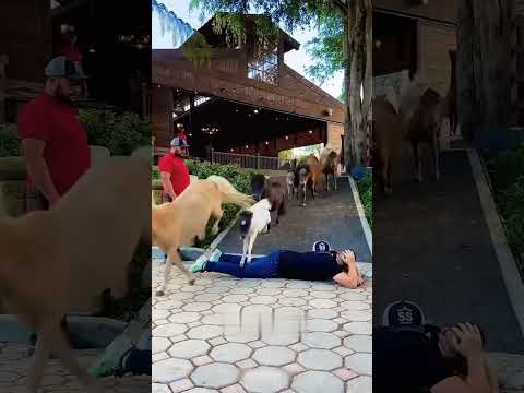 La Ce Ora Vezi Asta? Eu la 16:33