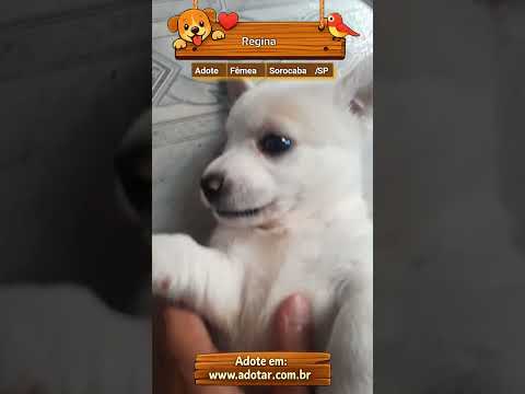 Vídeo de Regina