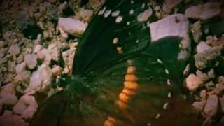 Blue Velvet 7 minutes in Heaven