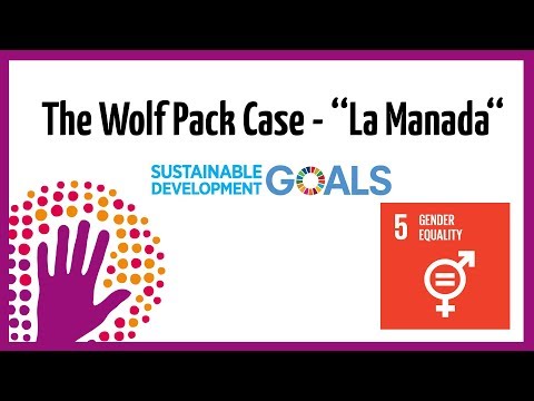 ''La manada''--狼群案。 (''La manada'' - wolfpack case)