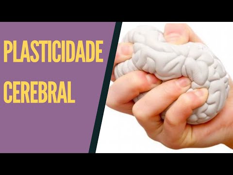 Como Funciona a Neuroplasticidade e Mielinização Cerebral Para Adquirir Novas Habilidades