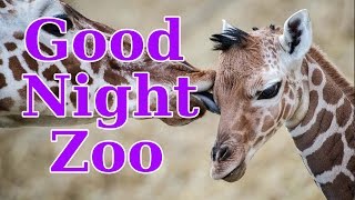 GoodNight Zoo (Bedtime Animals at the Zoo)