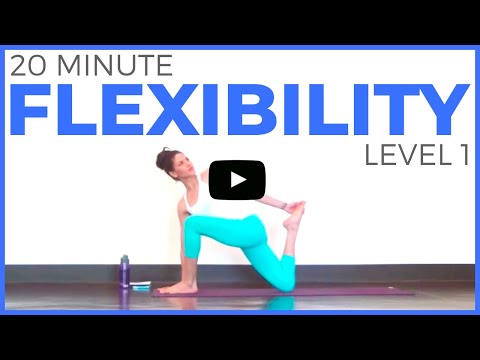 20 minute Yoga for Flexibility (Level 1) Full Body Yoga Stretch