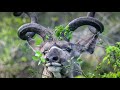 Kudu images & relaxing sleep music