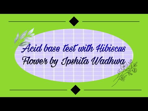 Acid base test with Hibiscus Flower | Ipshita's Home Lab