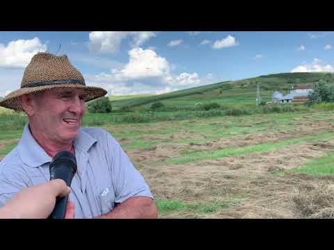 Ultimii crescători de bivoli din Transilvania