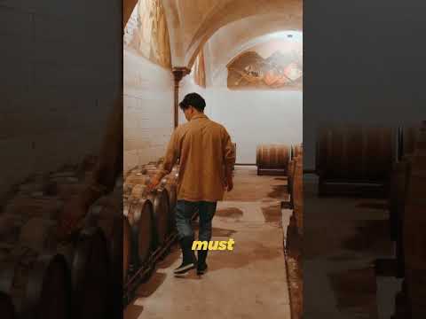 Santorini - A Volcanic Paradise #shortsvideo #greece