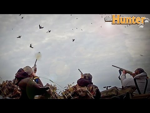 CACCIA CON AMICI CO-OP #8 w/supergashbell/Mito125s - THE HUNTER GAMEPLAY ITA