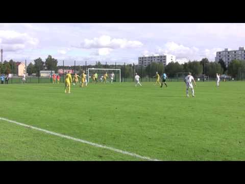 TPS ASM - OLS 2109 2013