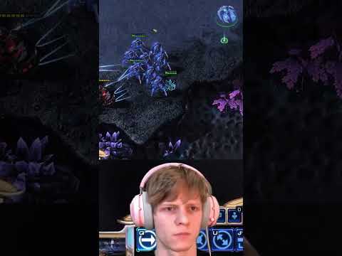 This starcraft player's day goes from BAD to GREAT