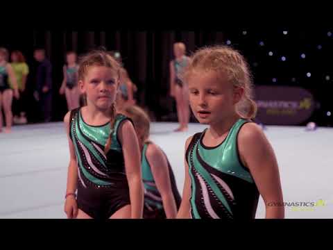 The Floor 2018  Coolmine Sapphire Display Team