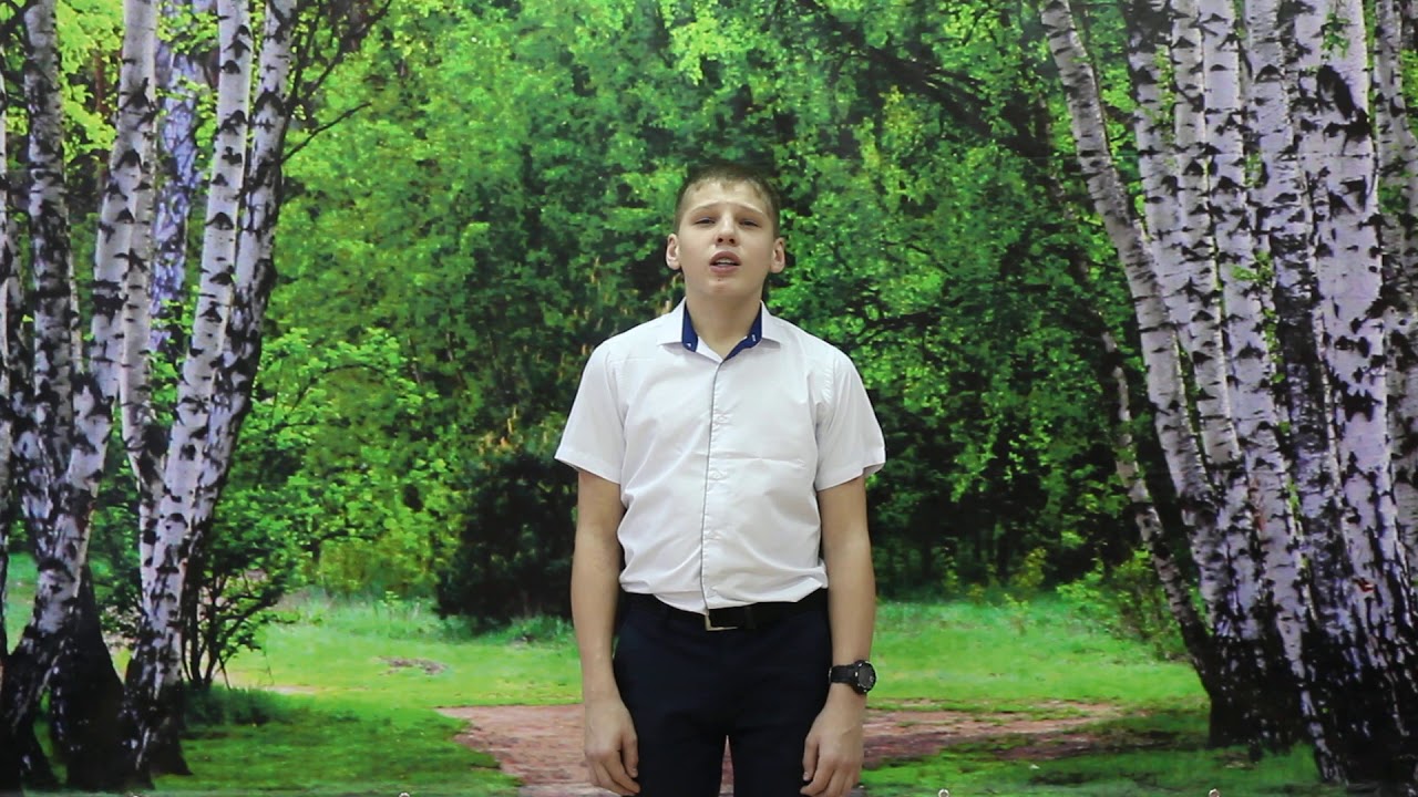 110. Зельманович Дмитрий Валерьевич "С чего начинается Родина"