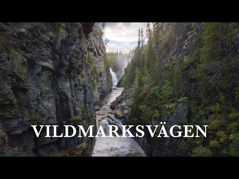 Längs vildmarksvägen