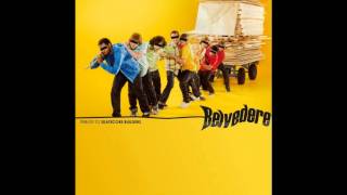 no perfect - stain (belvedere cover)