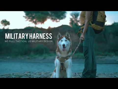 Hank Tactical Dog Harness - Military Dog Harness - Chest Size (61 - 81cm)  Dog Training Harness Price in India - Buy Hank Tactical Dog Harness - Military  Dog Harness - Chest