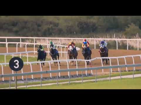 DAMMI - RACE 3 #fairview 26 AUGUST 2022