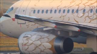 preview picture of video 'Golden Dove BA A319 in Glasgow'