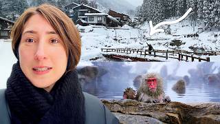 Мы посетили ГОРОД СНЕЖНЫХ ОБЕЗЬЯН в Японии