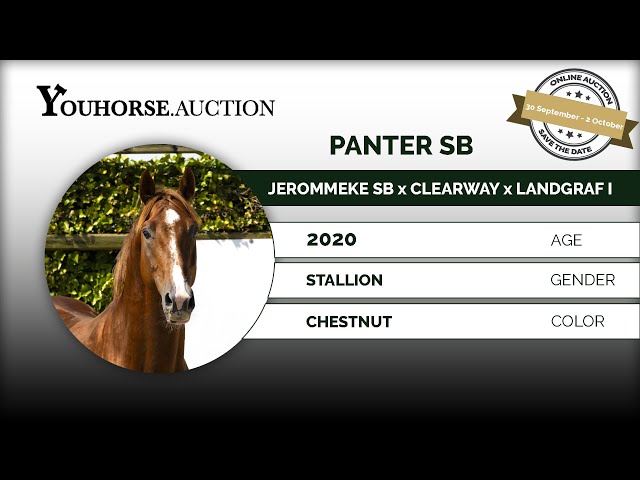 Panter SB