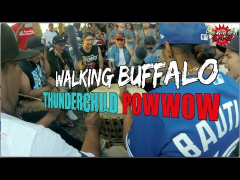 Walking Buffalo Wicked Jammer | Powwow Times