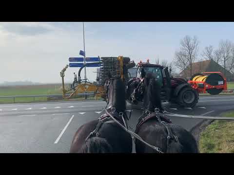 Stal Okkema's Pair of Geldings - L: Doeke (SOLD) & R : Sil