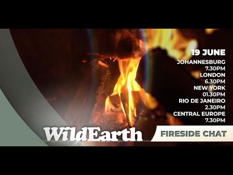WildEarth -Wild Dads Fireside Chat