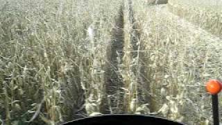 preview picture of video 'corn harvest in  09'