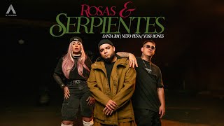 Rosas Y Serpientes Lyrics English Translation