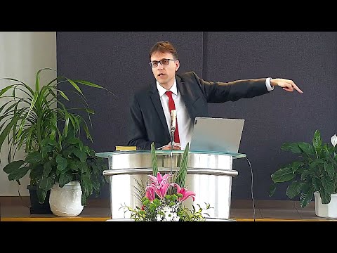 Pavle Runić – Sedam vizija Otkrivenja