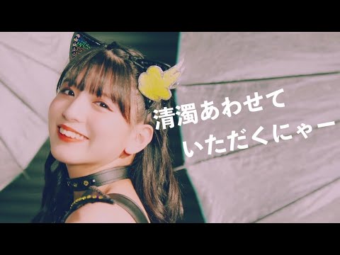 わーすた（WASUTA）「清濁あわせていただくにゃー」（Seidaku awasete itadaku nya）Music Video