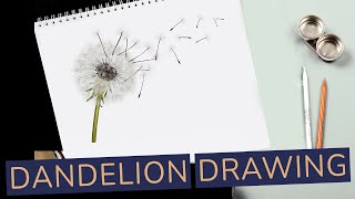 How to Draw a Dandelion - In just 15 Easy Steps