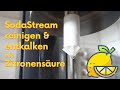 Clean Descale SodaStream Use Citric Acid To Fight Germs Limescale