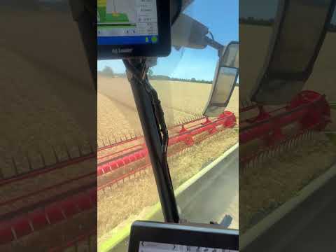 Claas Lexion 8700 with 50’ Convio header in wheat. Ontario Canada