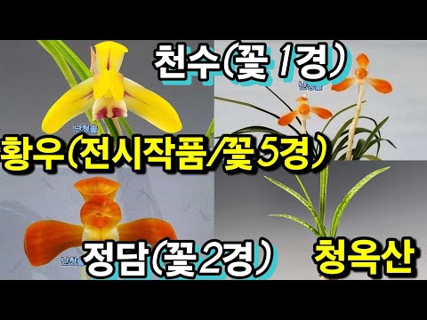 유튜브 썸네일