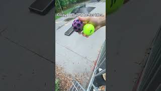 Download lagu It’s reversed?🧐 How about now?😌 #fyp #viral #bouncy #ball #fun #spaceballs #moonball #satisfying mp3