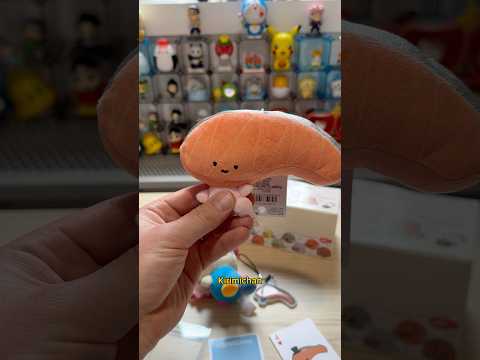 All about KIRIMICHAN! Sanrio’s strangest character? #sanrio #kirimichan