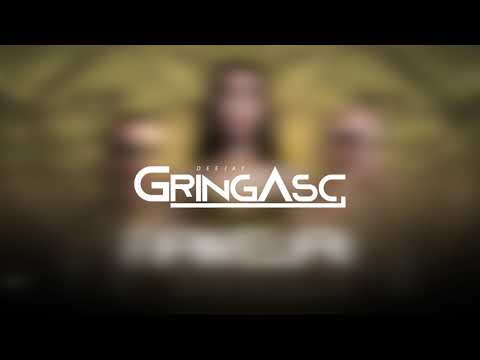 MEGA NÓS É FAVELA (MC MASCOT & MC GL CAPITAL) - GRINGA SC