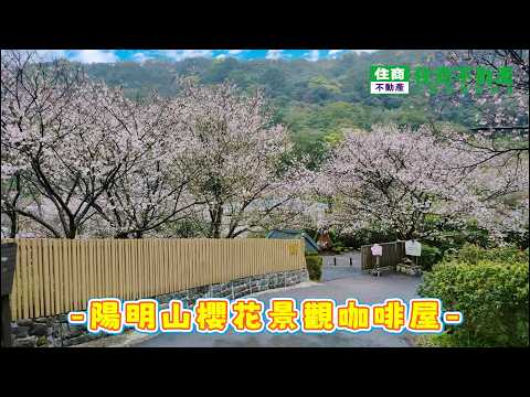$陽明山櫻花景觀咖啡屋 影片