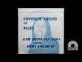 Jan Deneau With Ron Eschete - Different Shades Of Blues (1973 Maria Records)