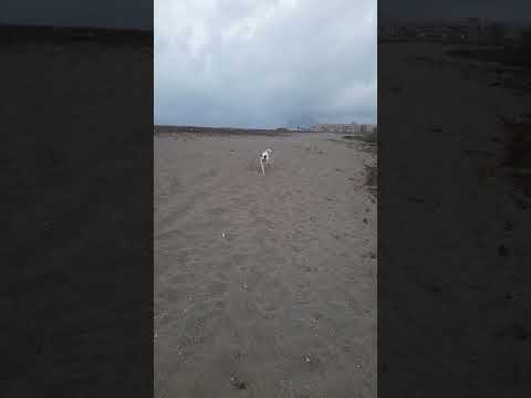 Robin. 31/08/2024 (2)