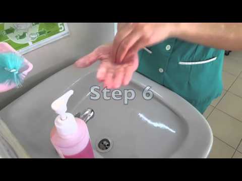 How to Perform the 7 Steps of Hand Hygiene